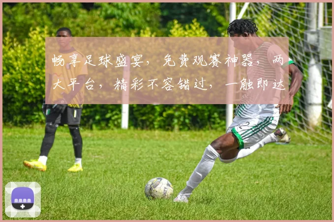 畅享足球盛宴，免费观赛神器，两大平台，精彩不容错过，一触即达